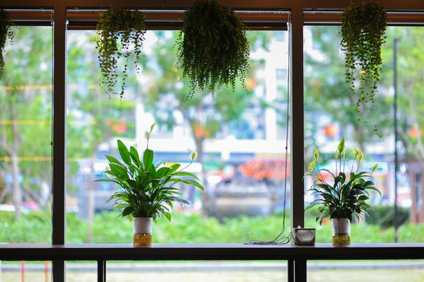 Comment fonctionne un thermomètre laser ?